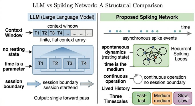 LLM vs Proposed Spiking Network: A Structural Comparison. The transformer processes tokens in parall