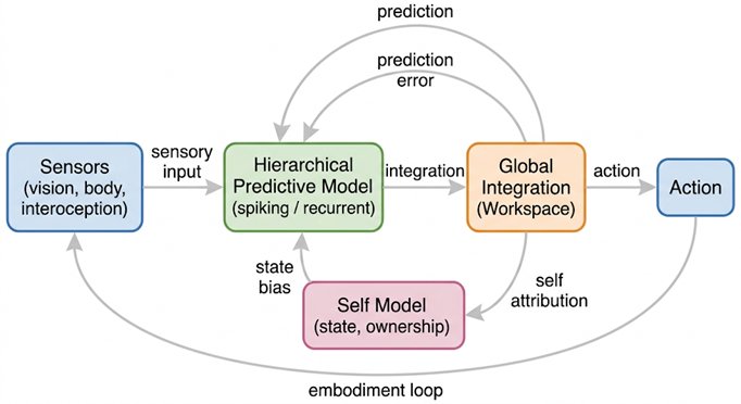 Information Flow in the Candidate Architecture. Sensory input (vision, body, interoception) feeds a 