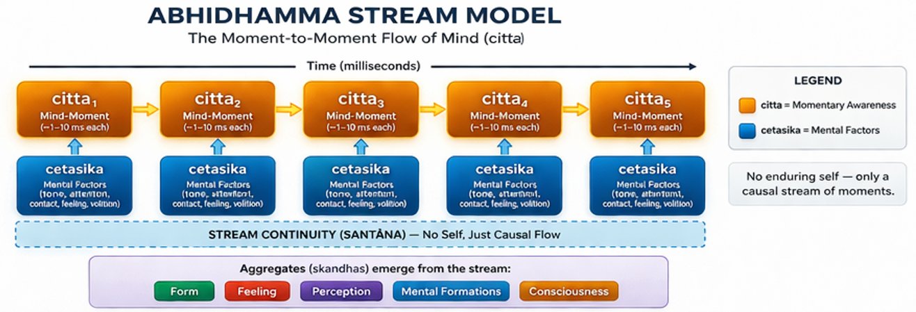 The Abhidhamma Stream Model. Each citta (mind-moment) arises with its specific cetasikas (mental fac