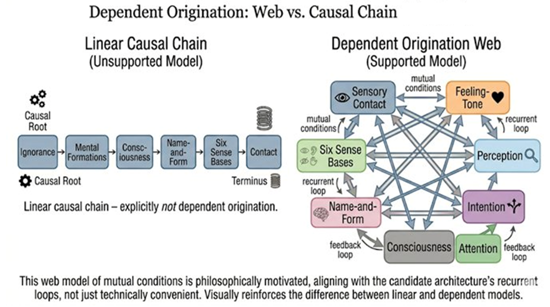 Dependent Origination: Web vs Causal Chain. Left: a linear causal chain (ignorance → mental formatio