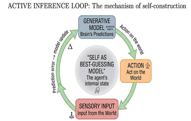 Active Inference Loop (Friston). The brain minimizes prediction error by updating its generative mod